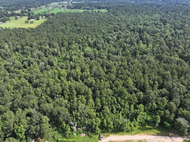 dji_fly_20250624_100204_0127_1750950819253_photo