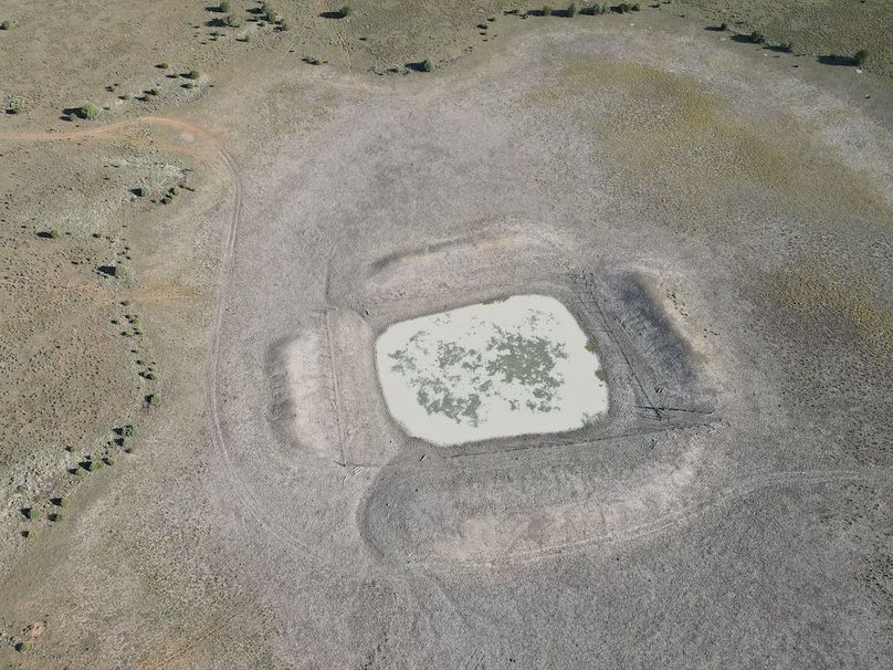 dji_fly_20240816_081624_540_1723818042022_photo