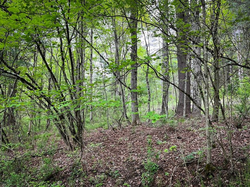 Tioga_78_Biada_Photos_93