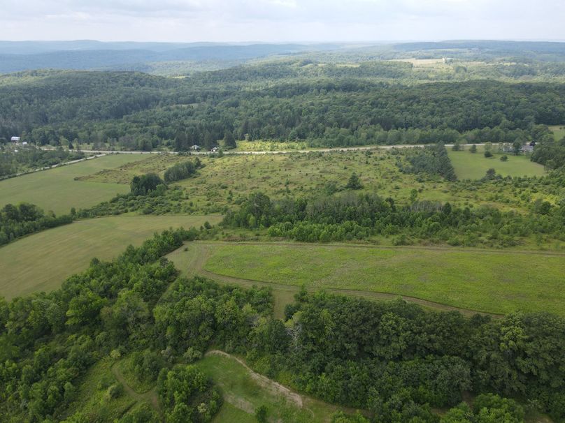 dji_fly_20230809_115418_758_1691596571885_photo - Copy