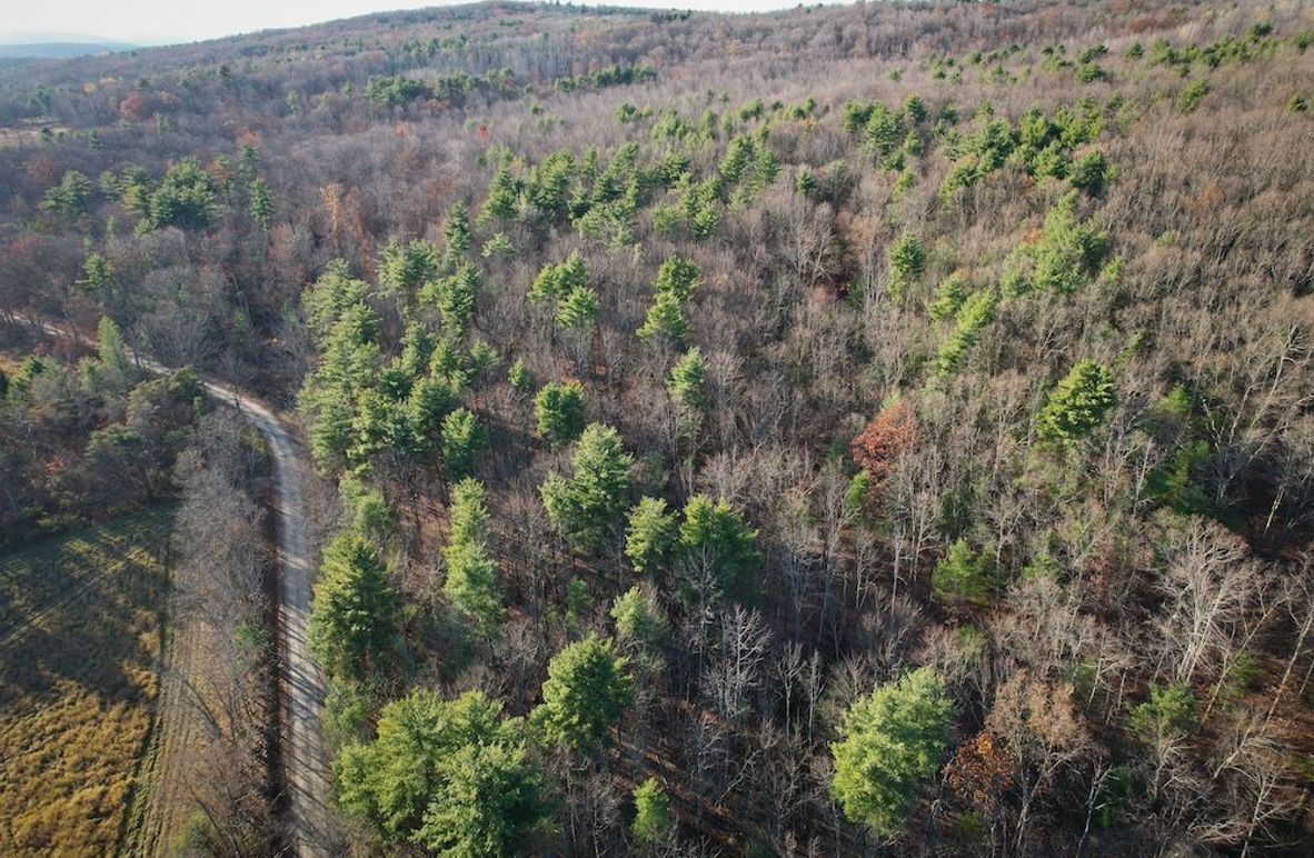 Chemung_110.6_Perry_Photos_5