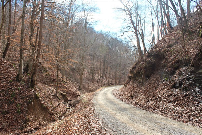 011 old country gravel road near the north tip of the property