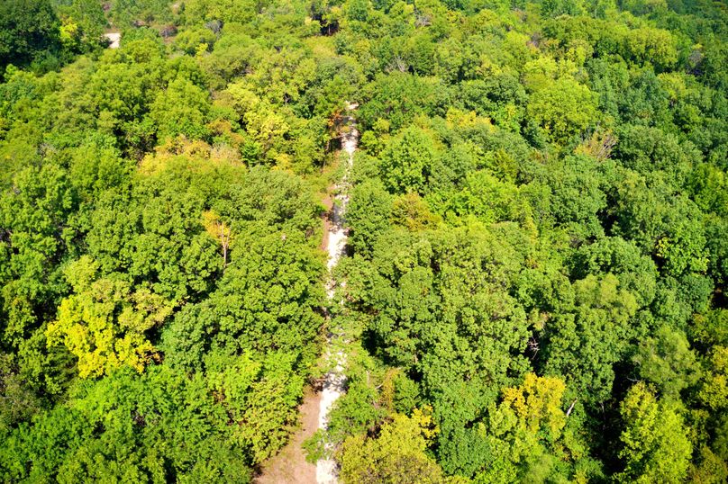 DJI_0177