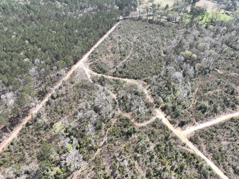 dji_fly_20260303_140520_312_1772637884157_photo