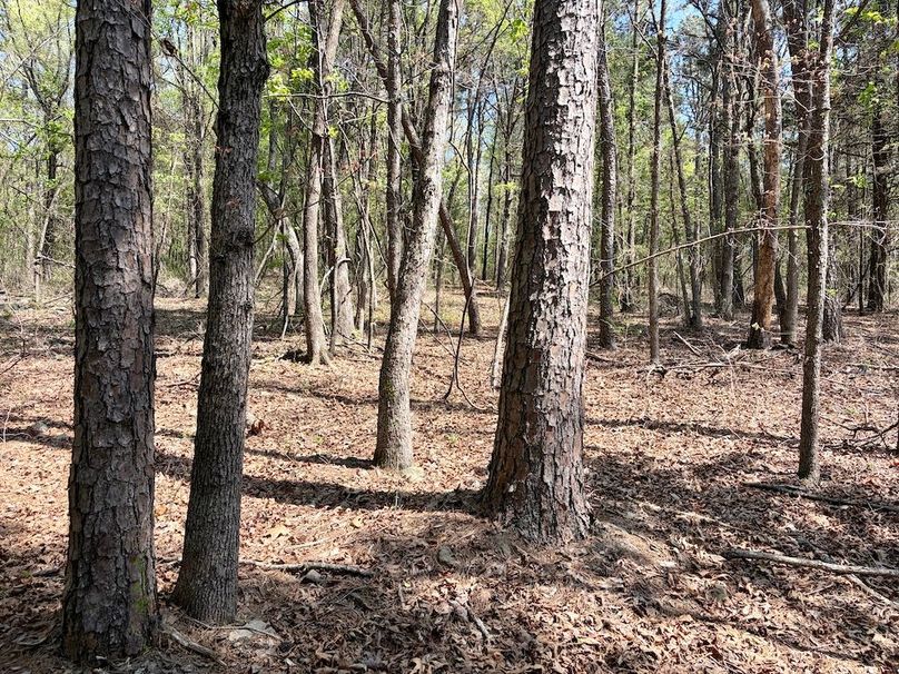 CDB9B33F-4D7D-49A6-BF38-5BDA281E45A4_1_201_a