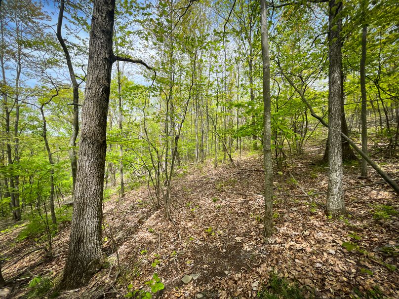 Chemung_44.5_ Briggs _Photos_16