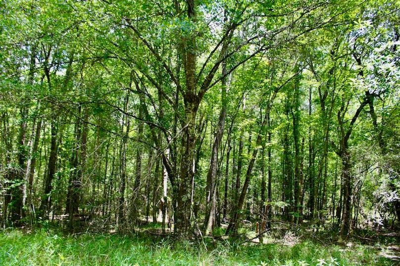 08DCBA3B-8B36-4602-8813-B29981A10121_1_201_a