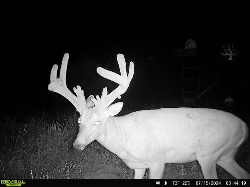 4.Copy of Copy of 864049057726376-100-4-07152024034418-W1037565