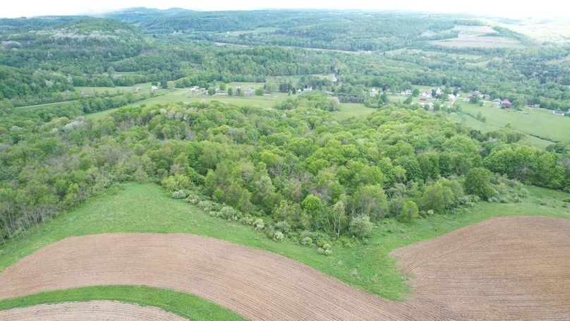 dji_fly_20250515_125858_230_1747328908788_photo