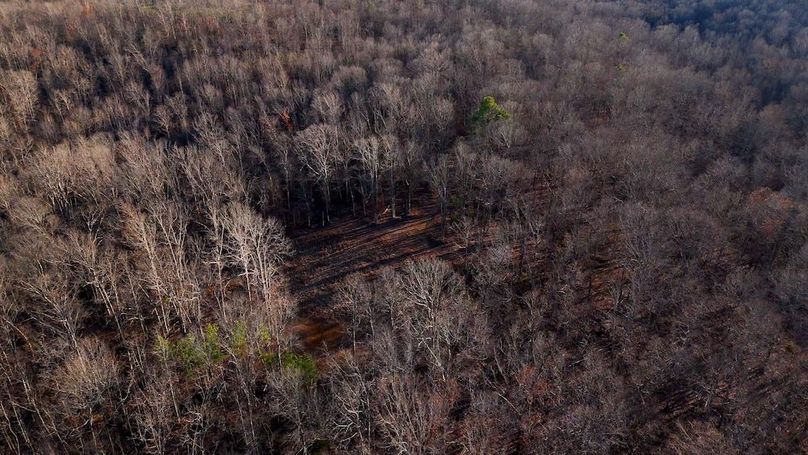 DRONE.00_09_17_12.Still026