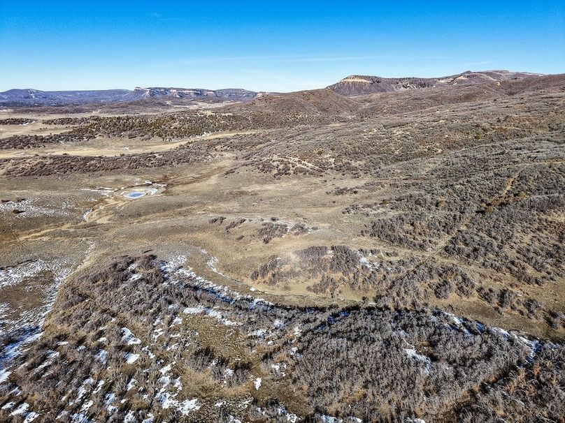 DJI_20260204094340_0018_D