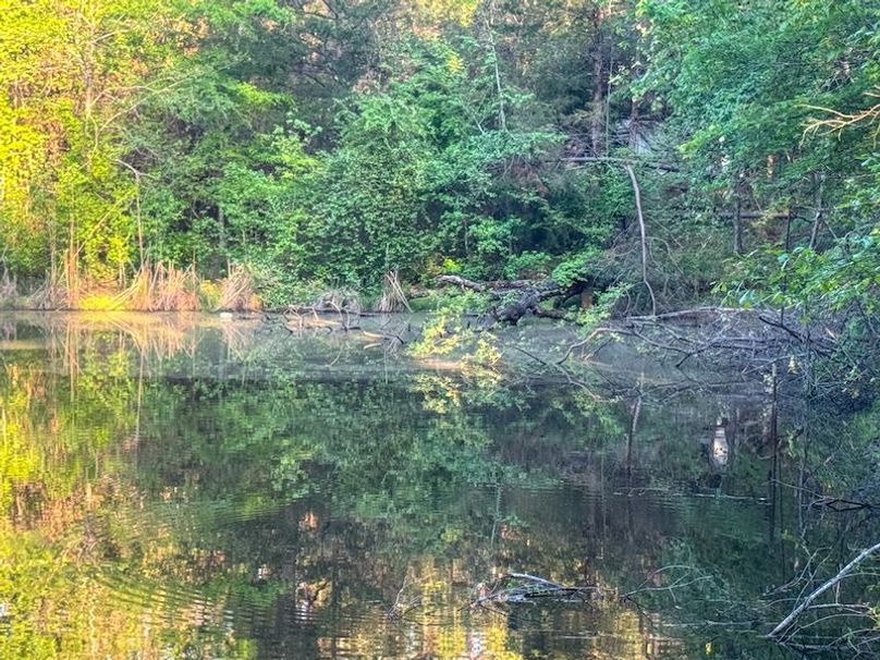 Tallahatchie 44 Newman (Crowden) Wide-54