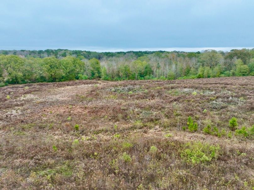 27B9A238-8583-4F80-AEE4-30B39FC0A029_1_201_a-2