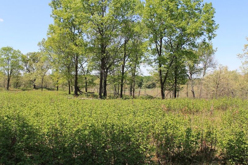 57p