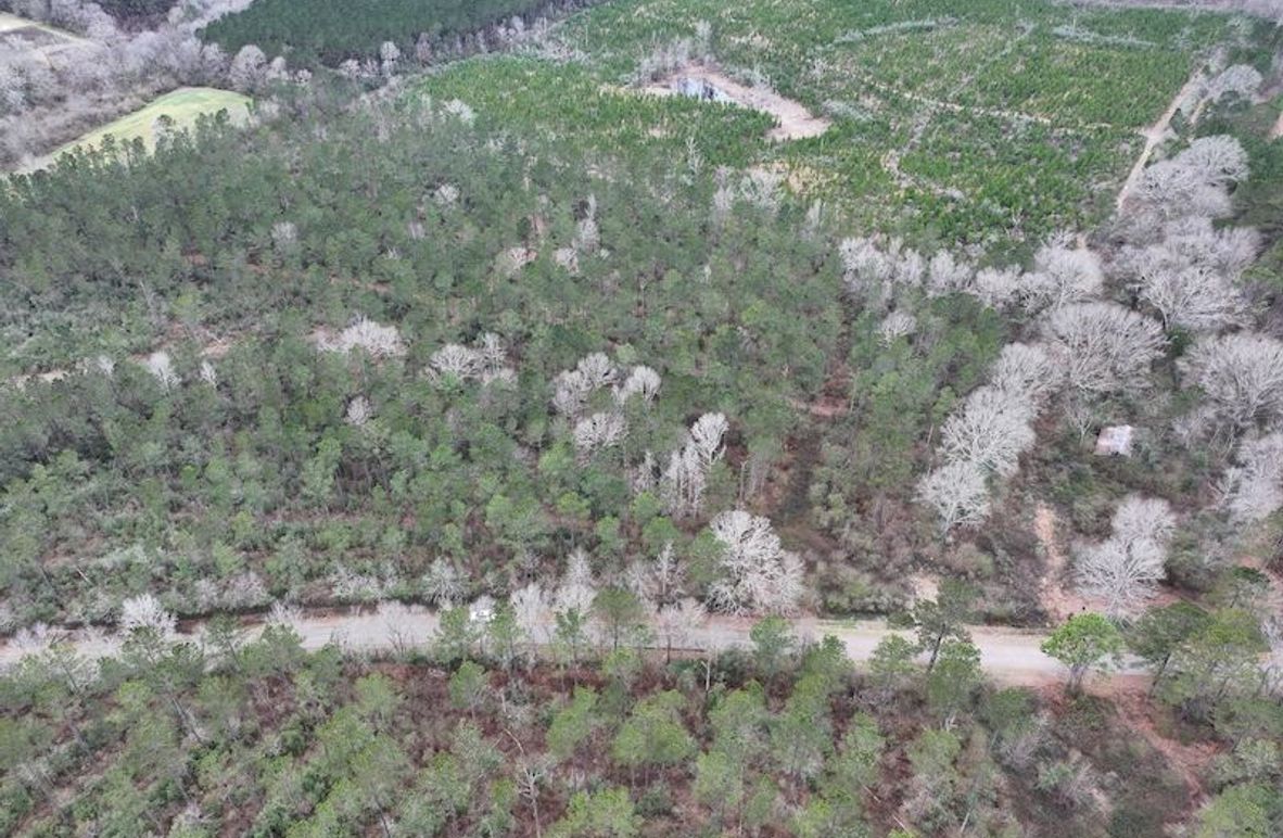 dji_fly_20260217_131840_0094_1771436913210_photo