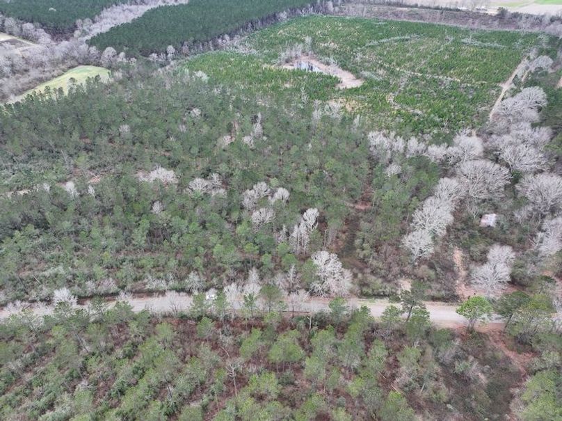 dji_fly_20260217_131840_0094_1771436913210_photo