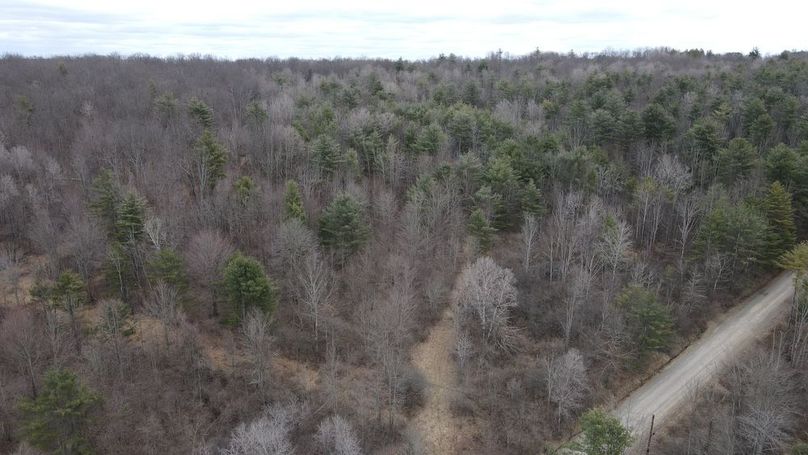 15 dji_fly_20250325_112914_945_1742916566427_photo
