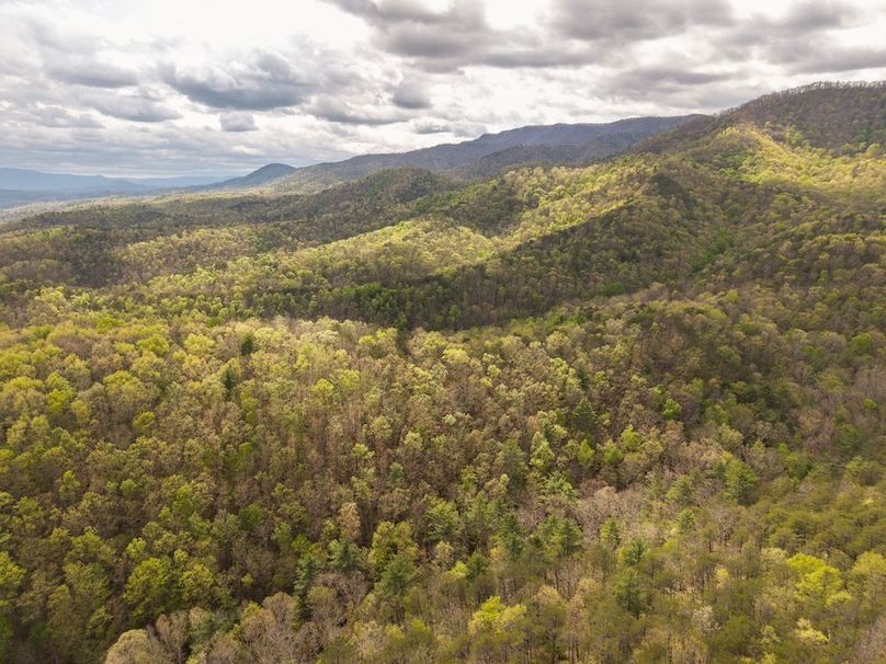 DJI_20260422152850_0101_D