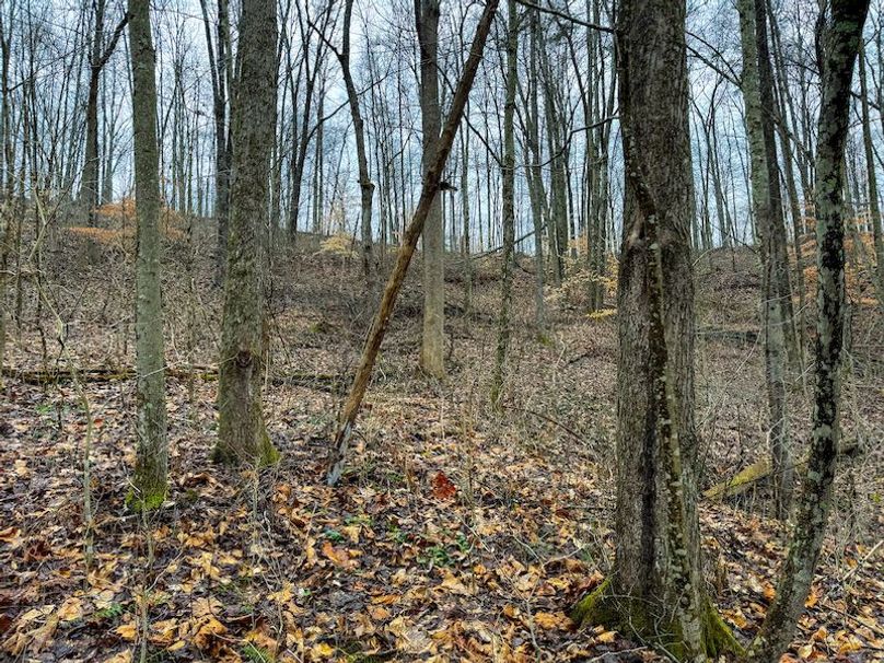 Ritchie, WV 64 AC Hall New Pics-11