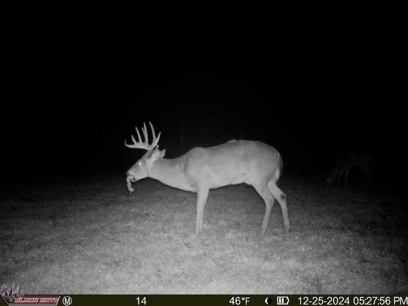 thumb-adcbeaa6696c6afb47c17a9deca6ab4f79745c88 (1)