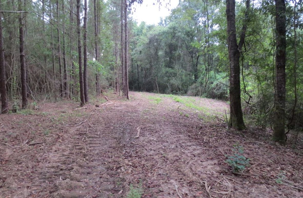 8AAE8C7C-9768-4DD8-B039-6C209DC97C5C_1_105_c