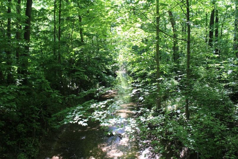 stream 2