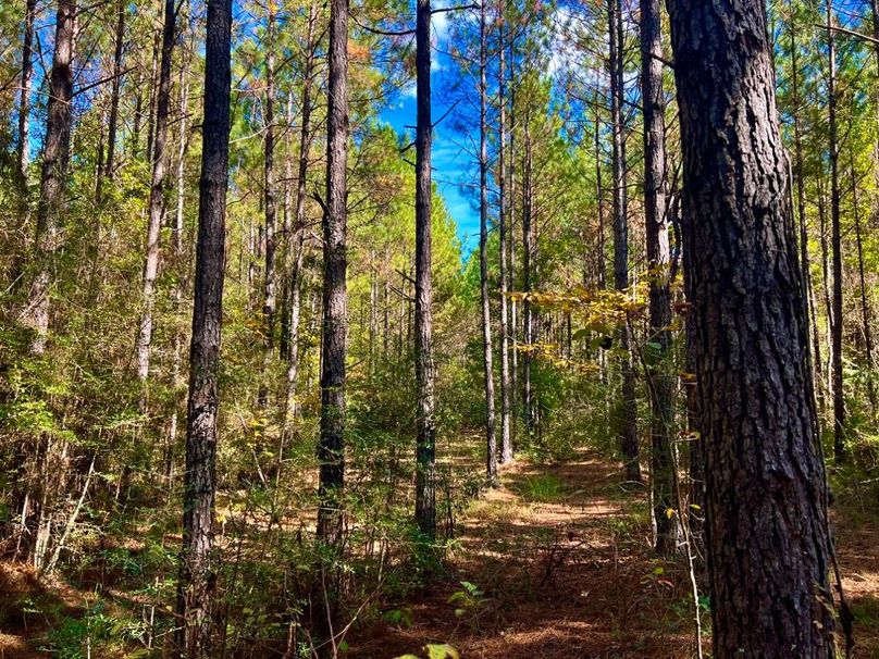 F8578048-68C3-4C71-915A-09764FB4C958_1_201_a