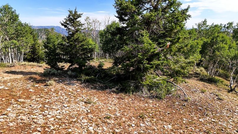 DJI_20250726170657_0110_D