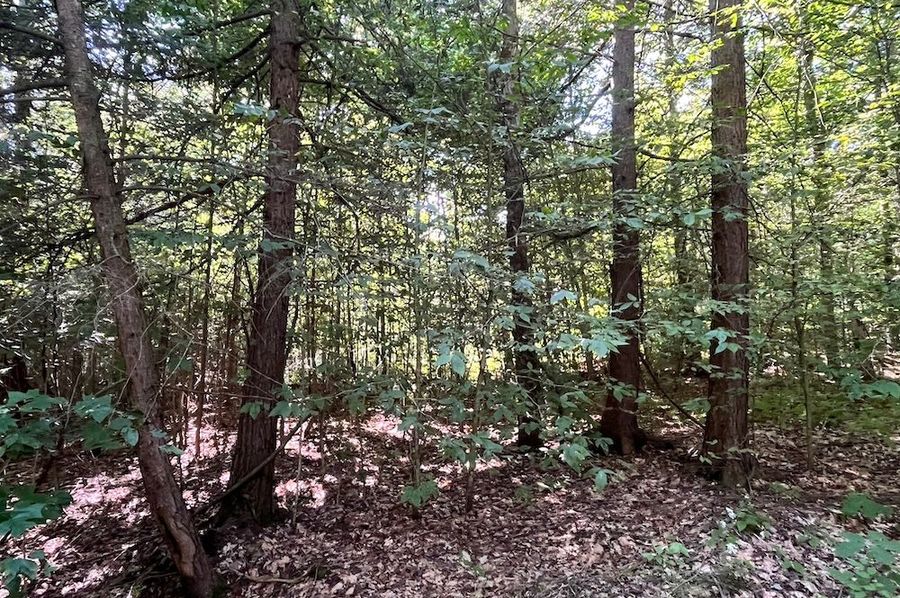 Chemung_10.725_Rouseland_Lot6_Photos_18