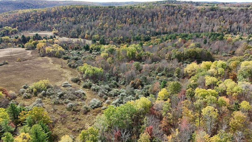 DJI_20251017132054_0749_D