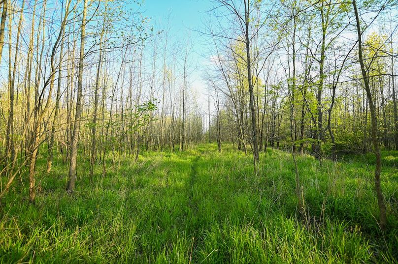 vandalia 450 (2)-2985