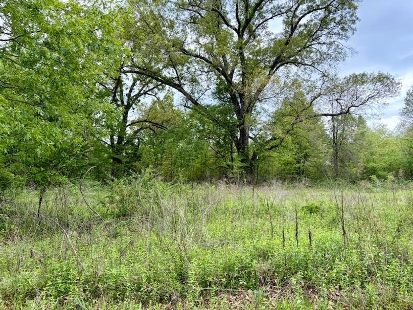 82238158-B91E-404F-AC29-8CDA7622AE82_1_105_c