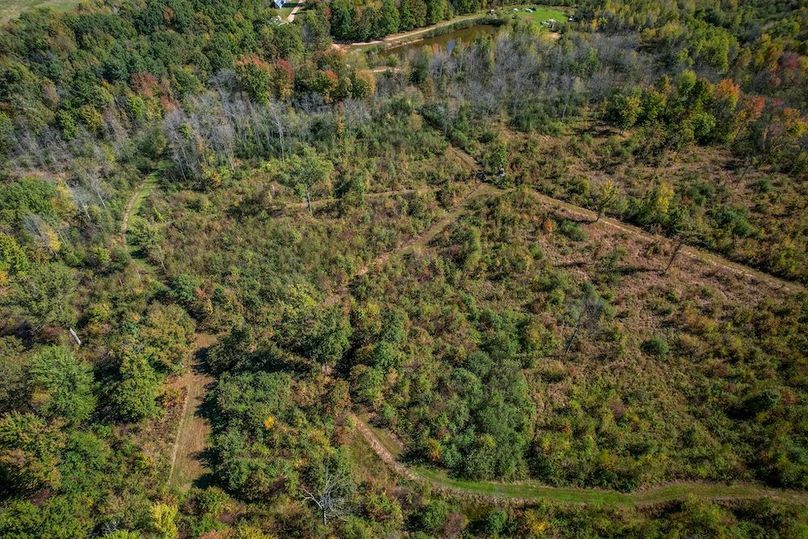 Wood 41.451, Collins -52