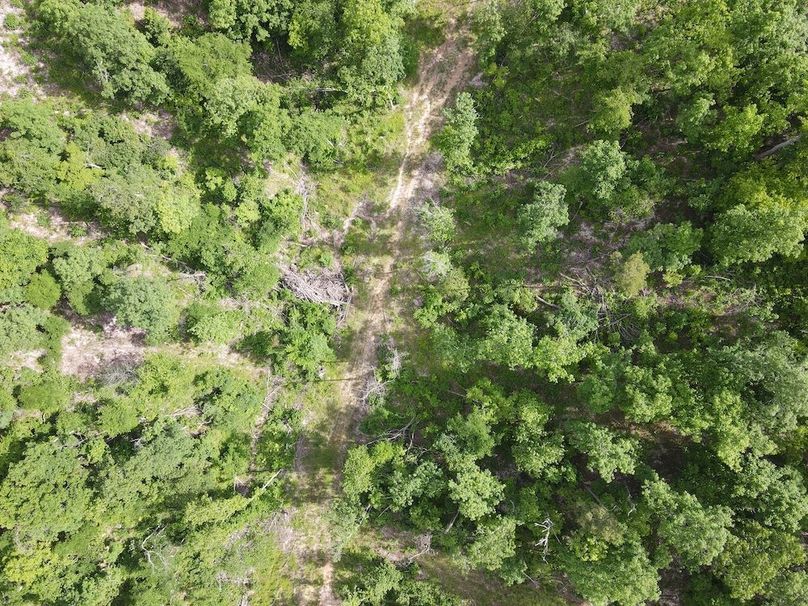 DJI_0440