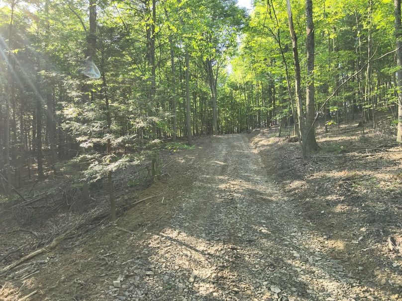 DJI_20240521083641_0024_V