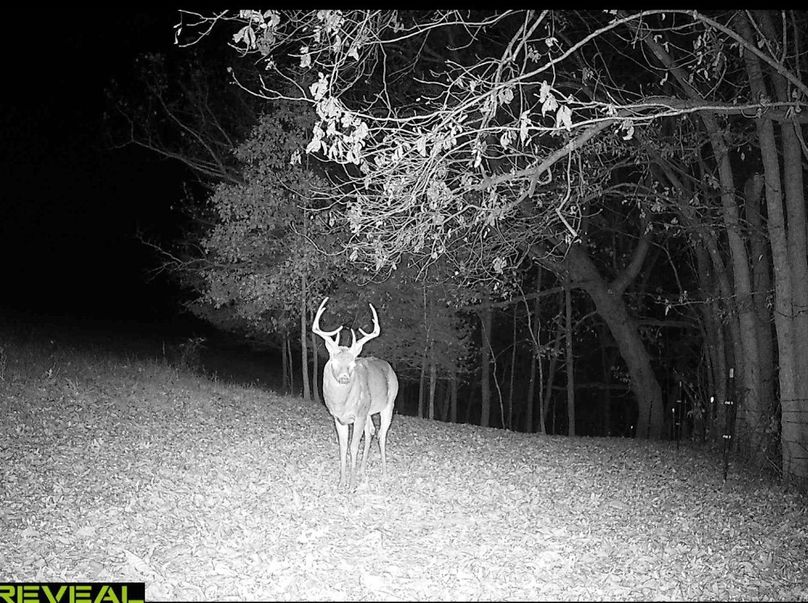 Screenshot 2024-03-03 at 7.12.12 PM