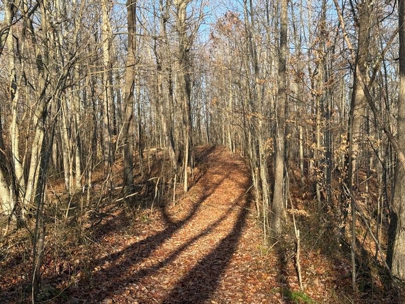 038 another of the nicely groomed trails leading throughout the property