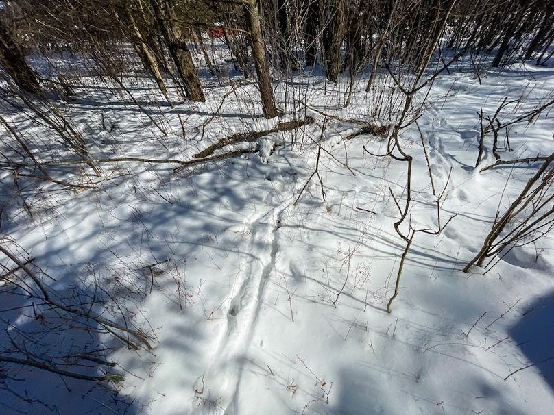 Portage 13.596, Van Asten-9