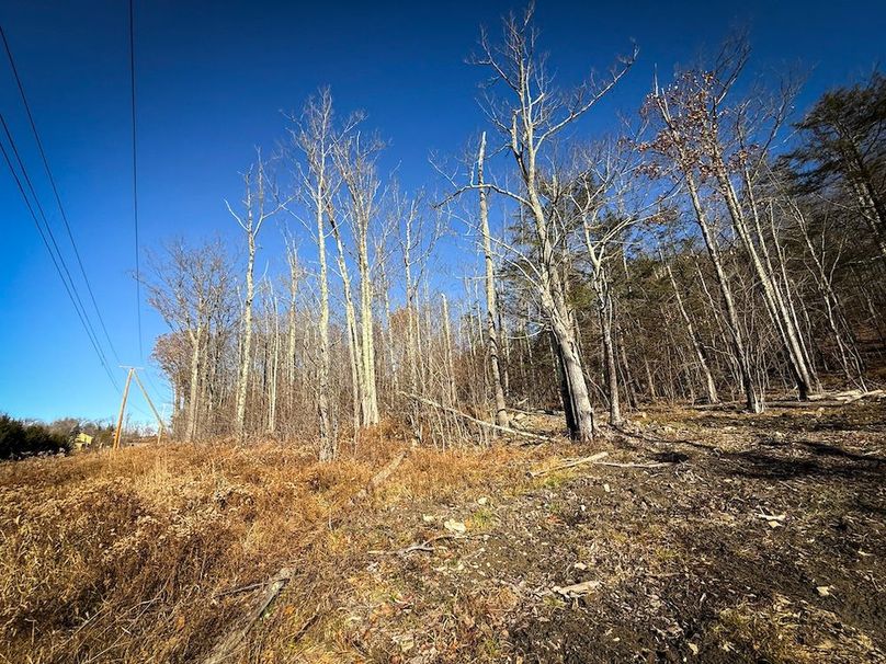 Chemung_31.75_Seymour_North_Photos_8