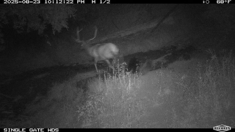 280F7AA9-312F-41B4-96F2-89A074D5F532