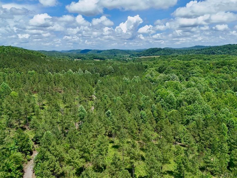 DJI_20260527141848_0005_D