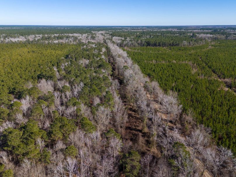 Pender NC 382 - Edits-45