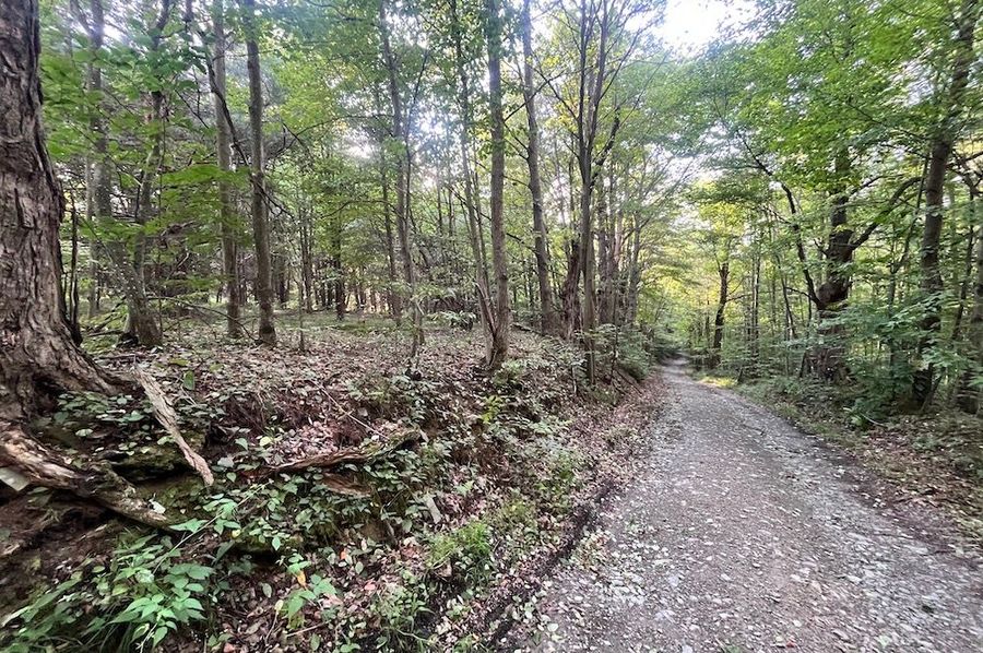 Chemung_59.085_Gutchess_Lumber_Photos_26