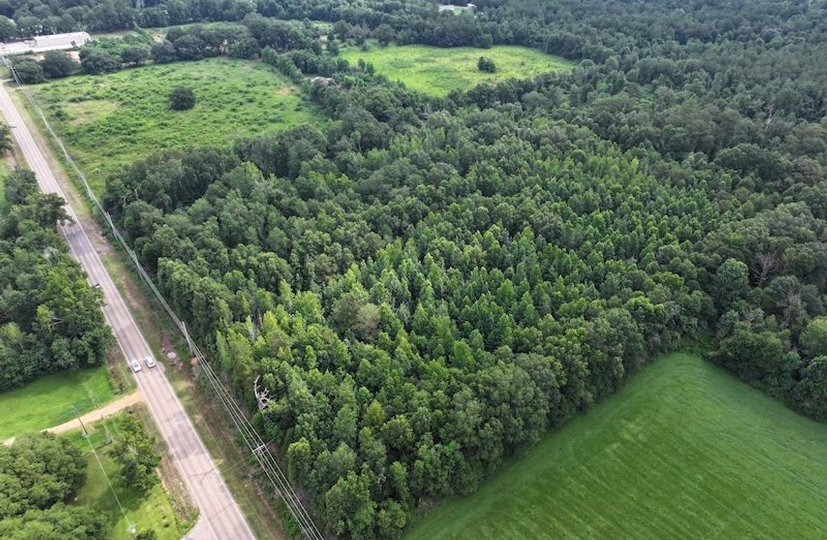 dji_fly_20250624_092602_0113_1750950824317_photo