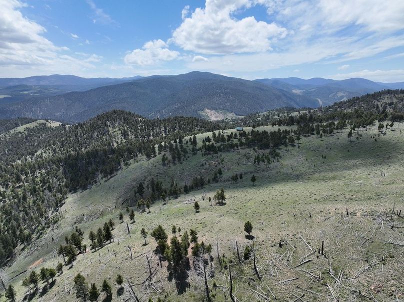 DJI_0339