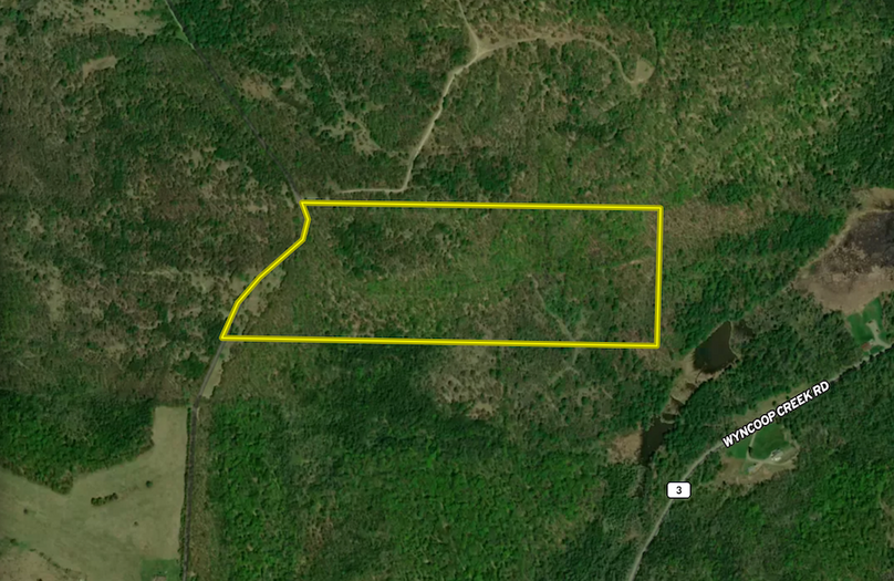 Chemung_59.085_Gutchess_Lumber_Landid_2