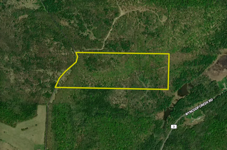 Chemung_59.085_Gutchess_Lumber_Landid_2