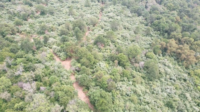 dji_fly_20250806_125950_557_1754499842416_photo