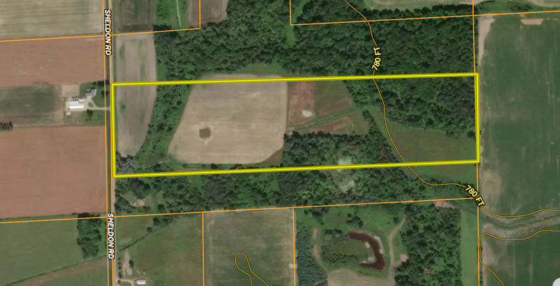 Screen Shot 2025-10-09 at 3.23.56 PM