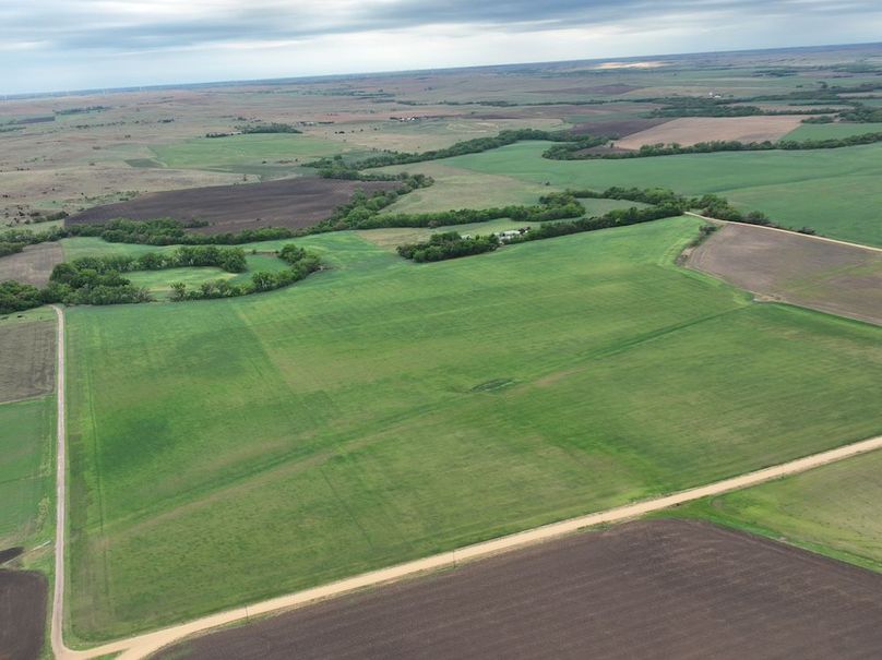 Copy of dji_fly_20240501_075542_965_1714569027404_photo